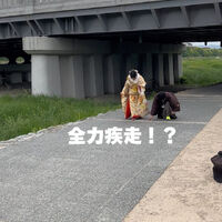 動画サムネイル