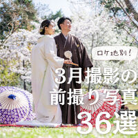 画像4152