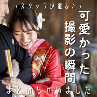 画像4178