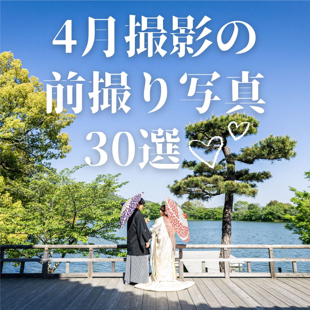 画像4236