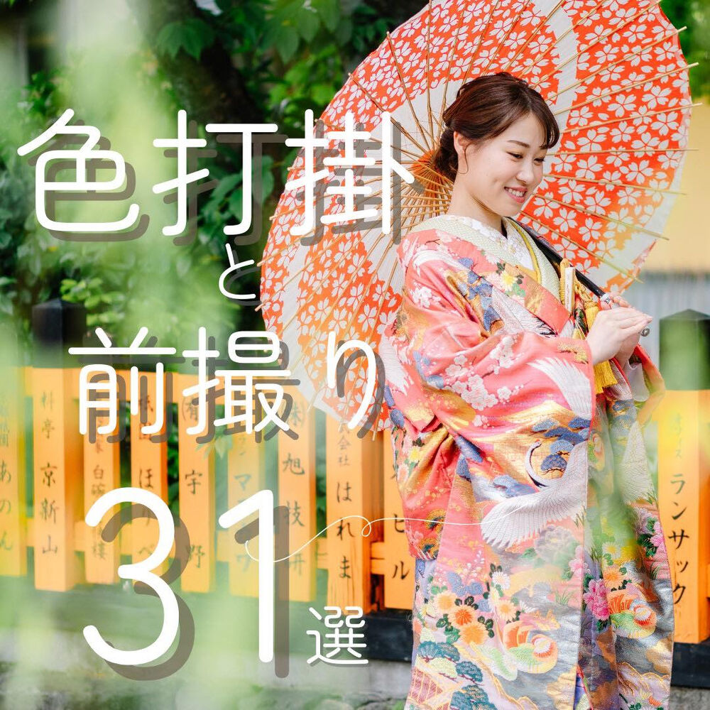 画像4247