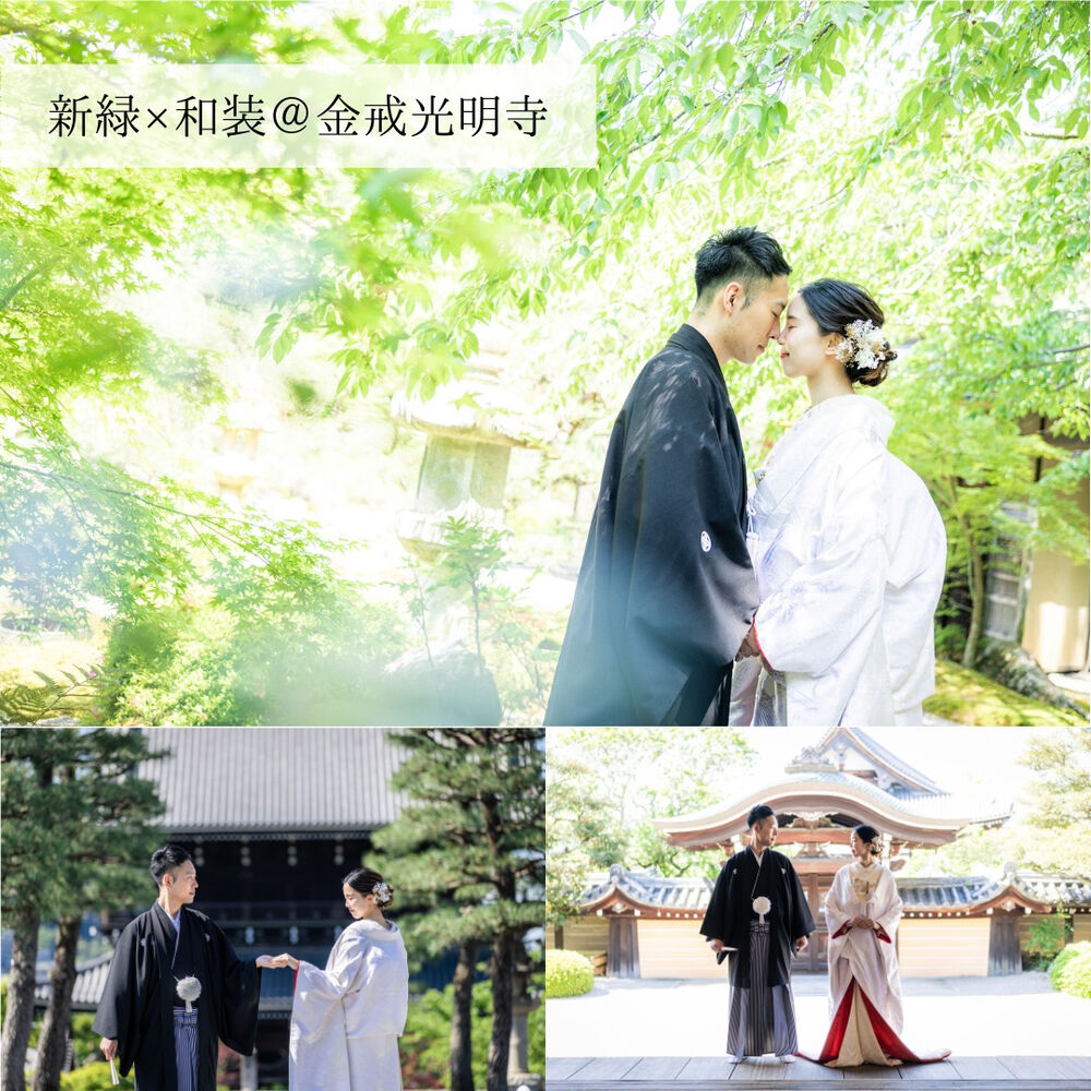 画像4320