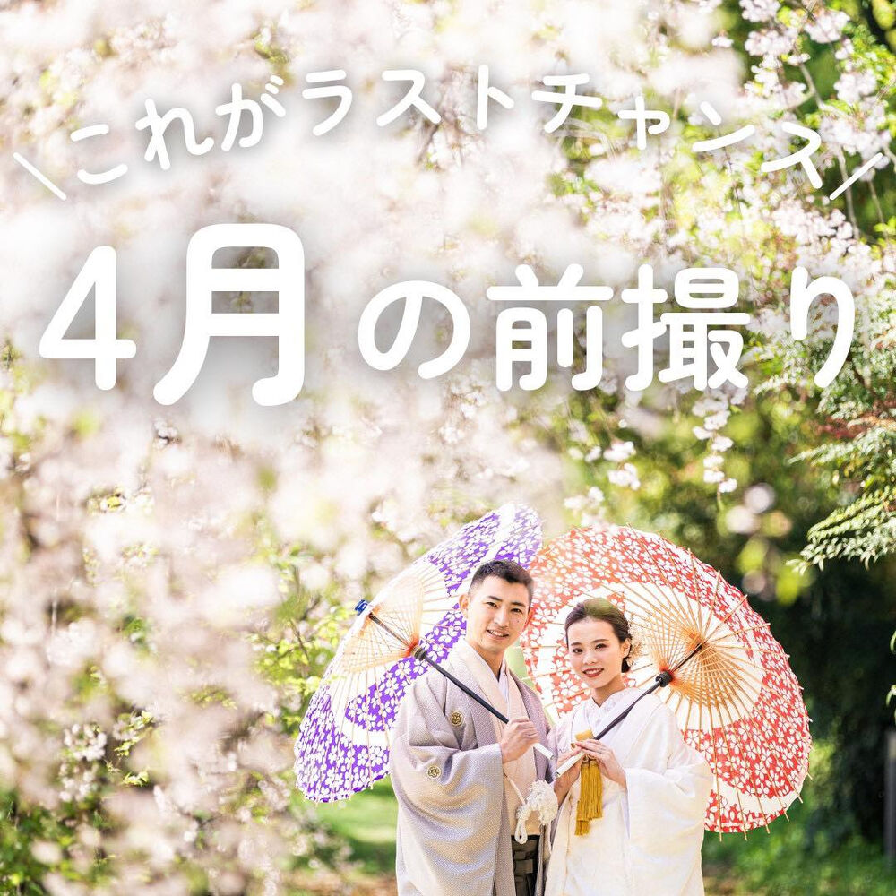 画像4369