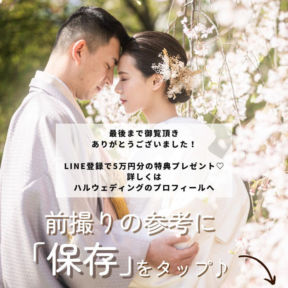 画像4377