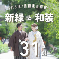 画像4462