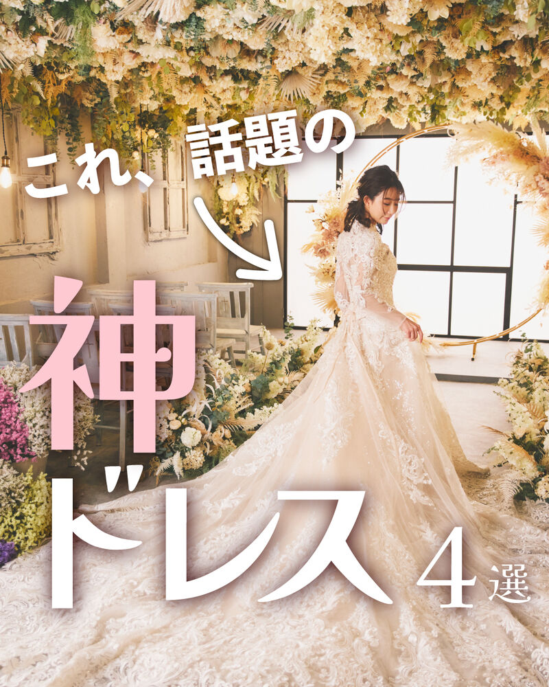 画像4584