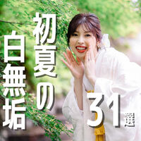 画像4595