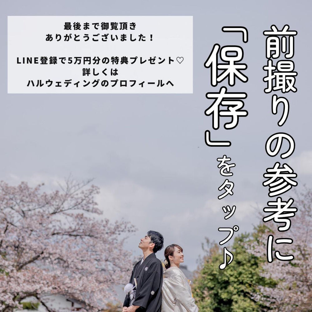 画像4624