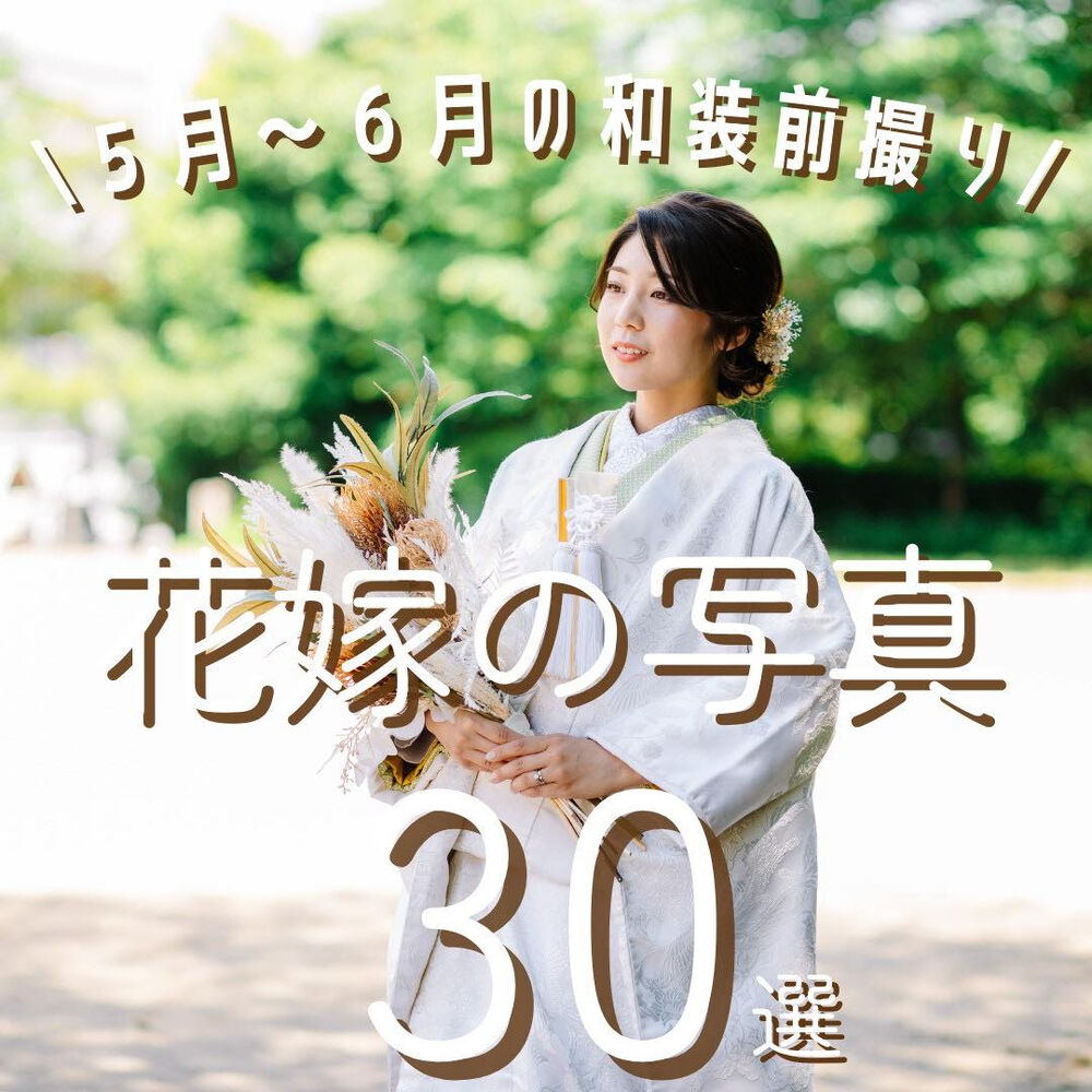 画像4669