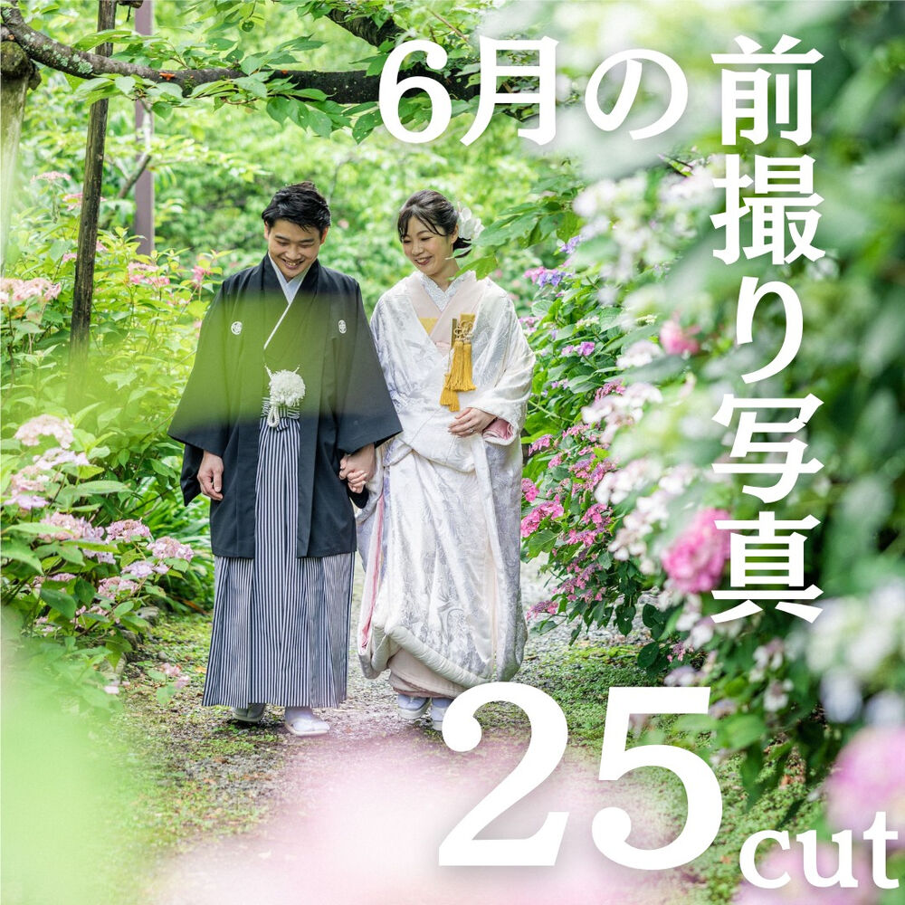 画像4699