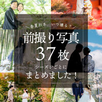 画像5245