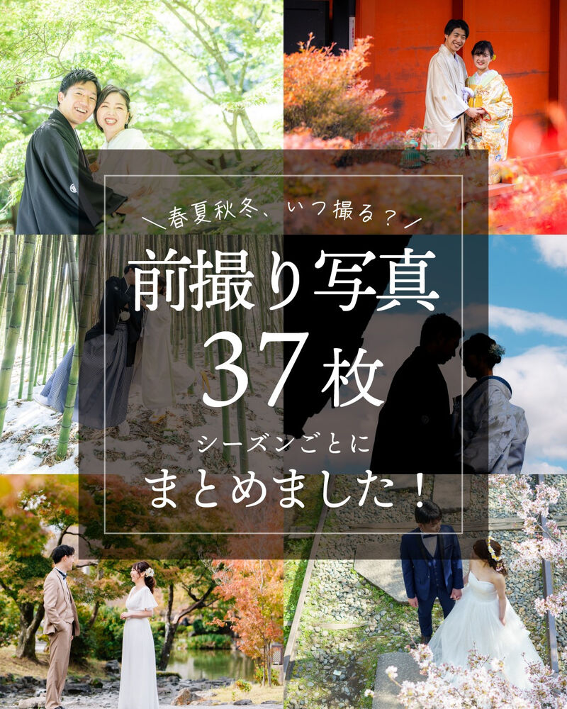 画像5245