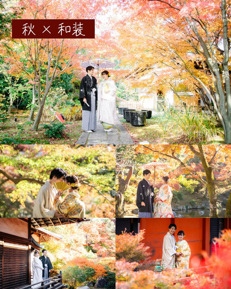 画像5251