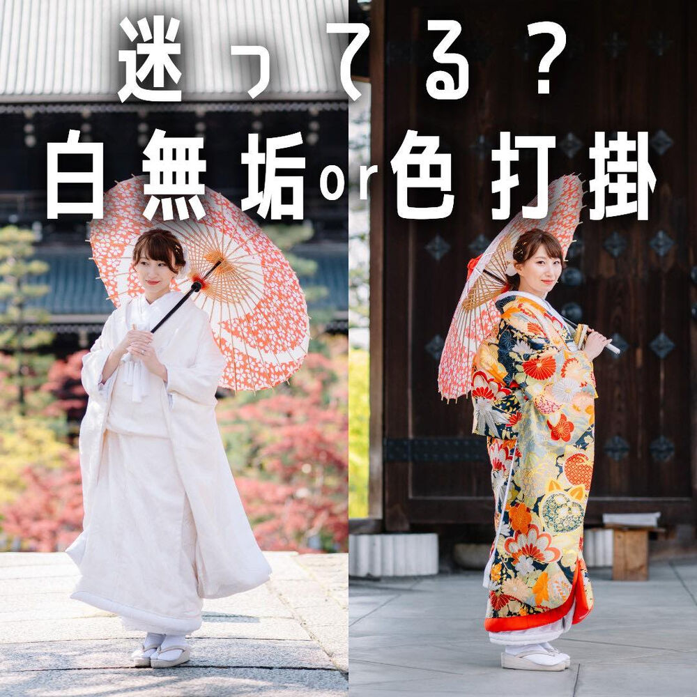 画像5559
