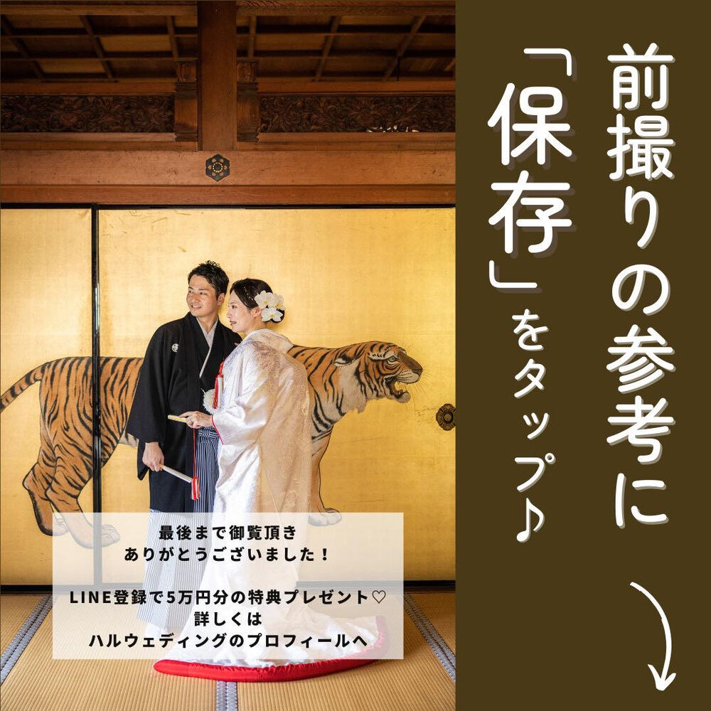 画像5686