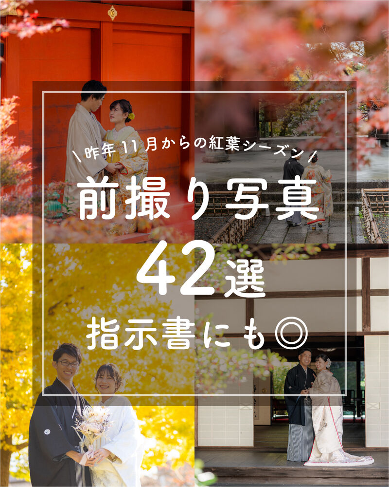 画像5738
