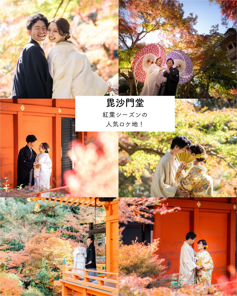 画像5742