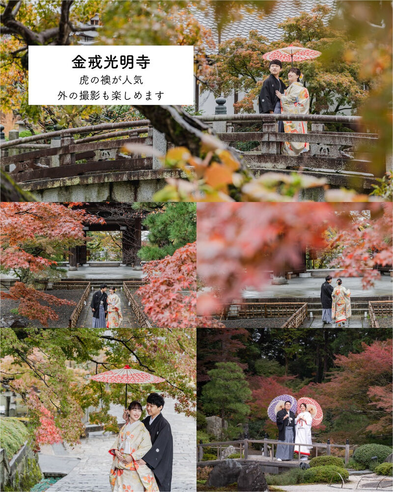 画像5745