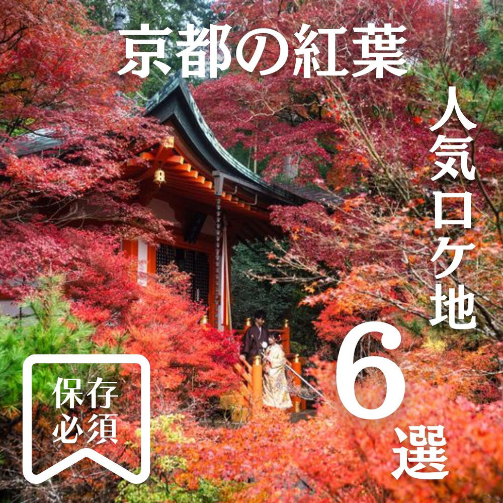 画像5962