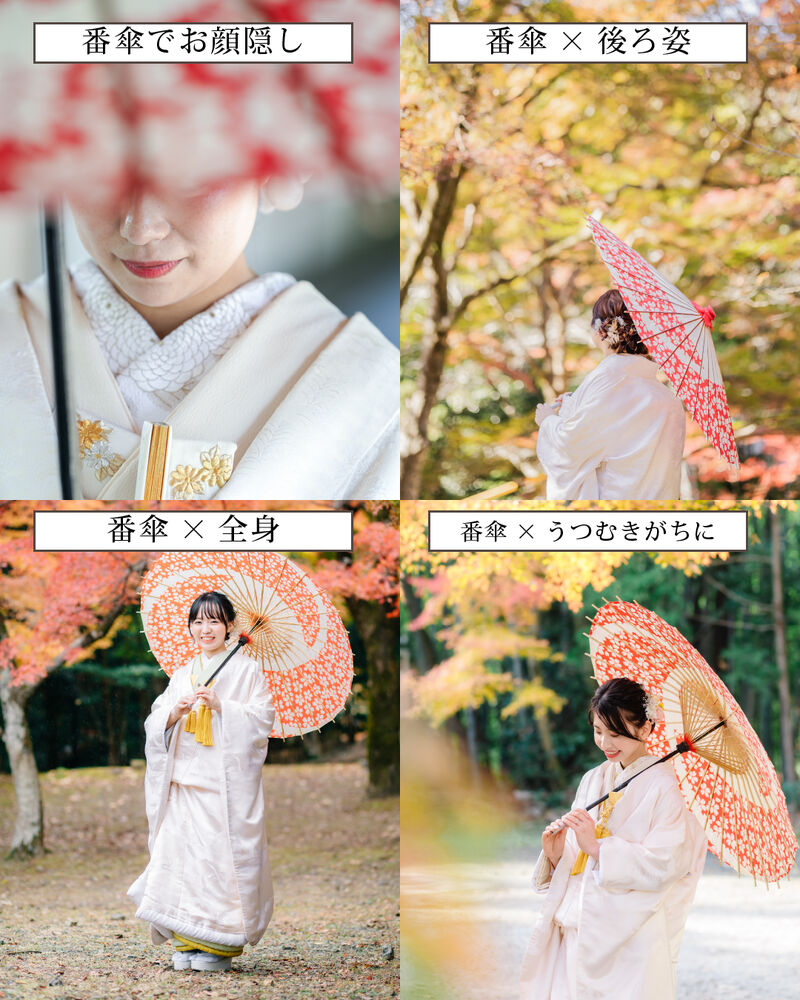 画像6039