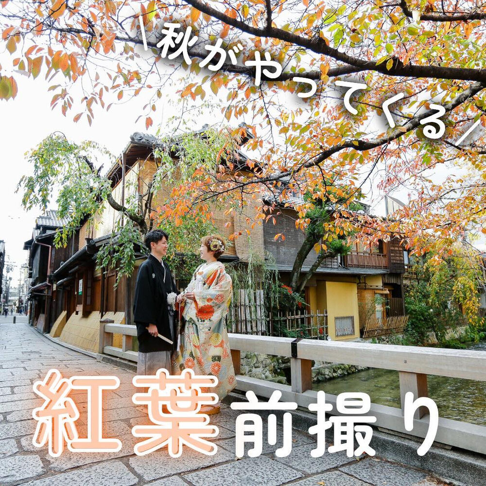 画像6143