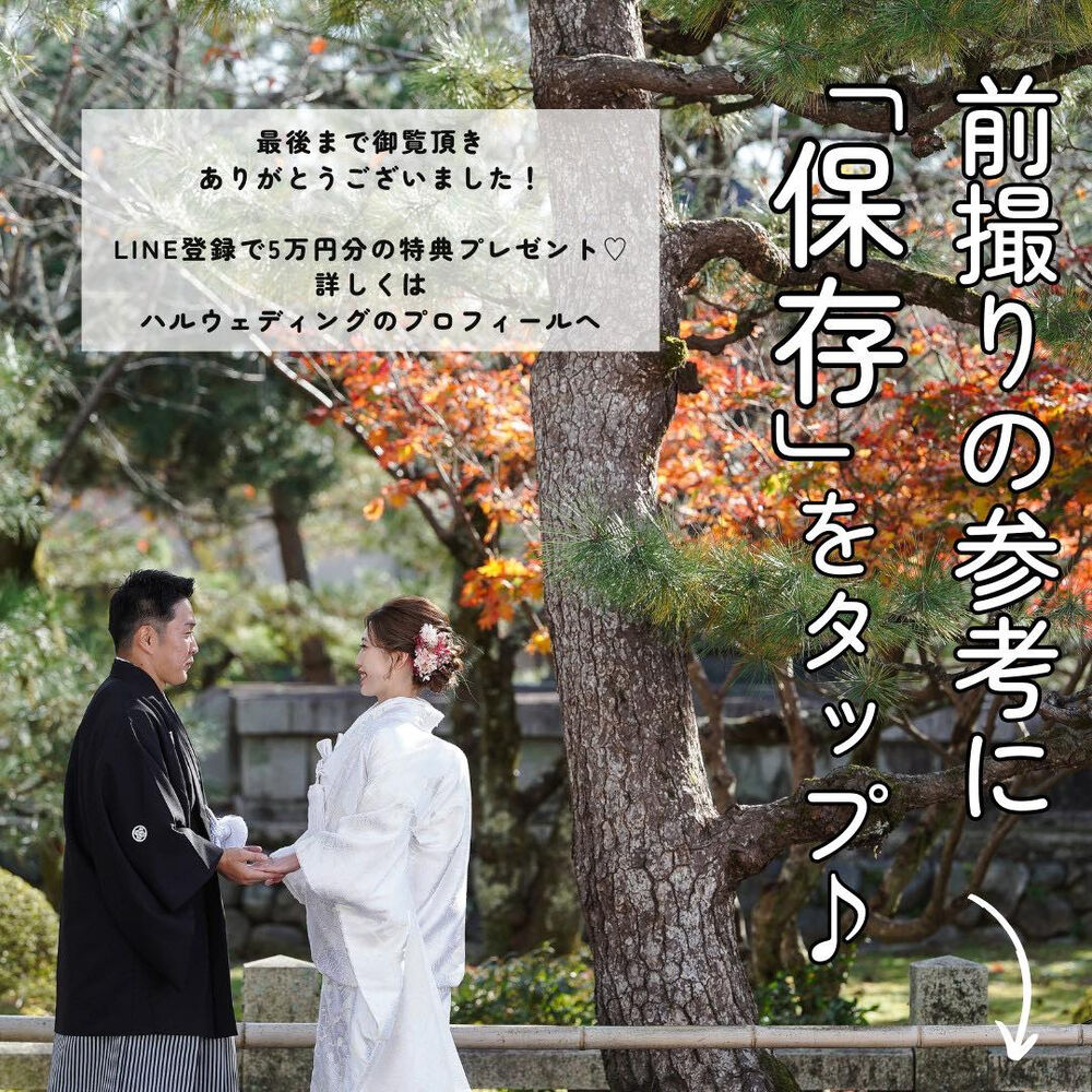 画像6295