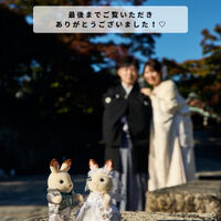 画像6439