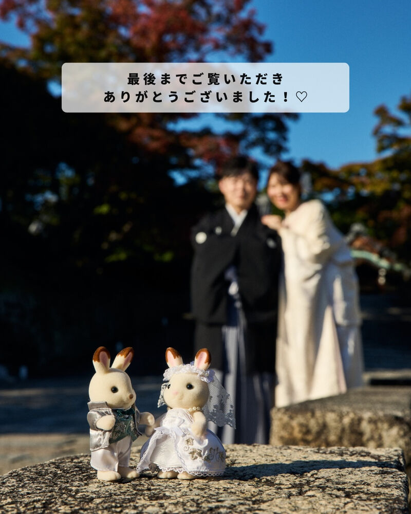 画像6439