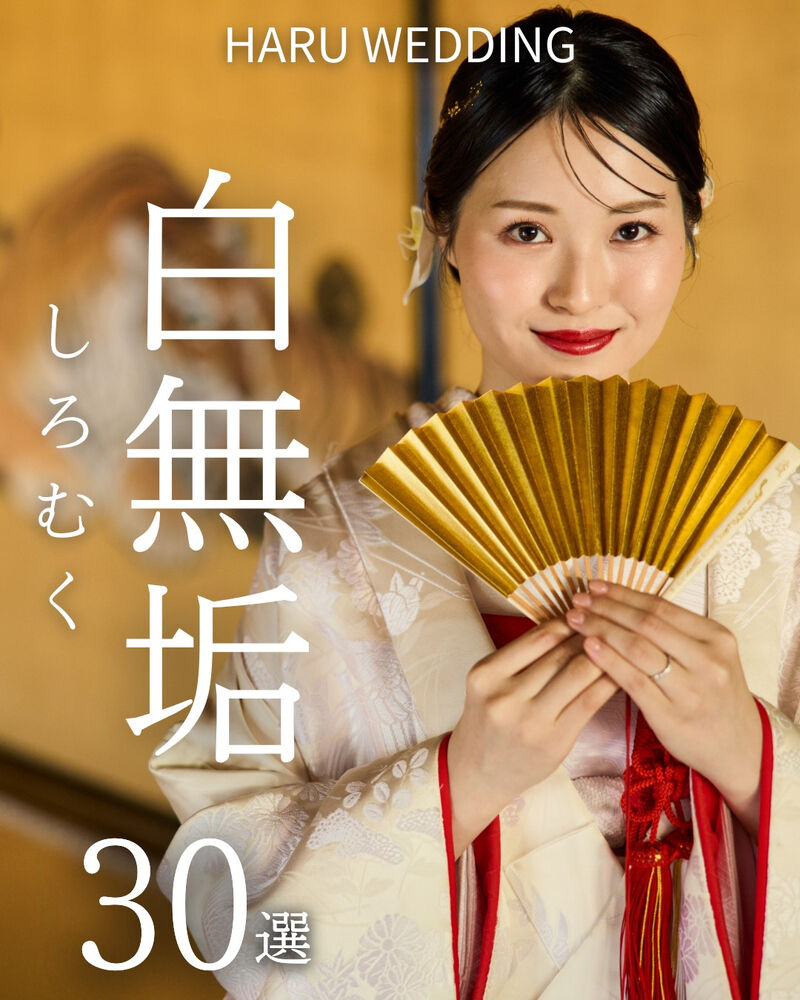 画像6454