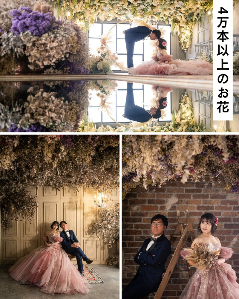 画像6565