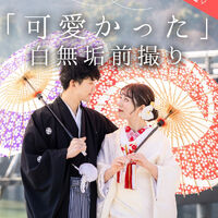 画像6575