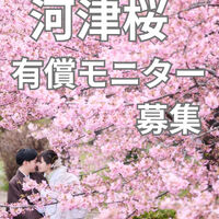 画像6621