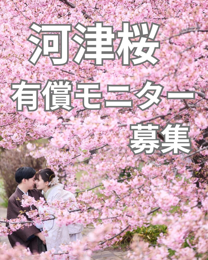 画像6621