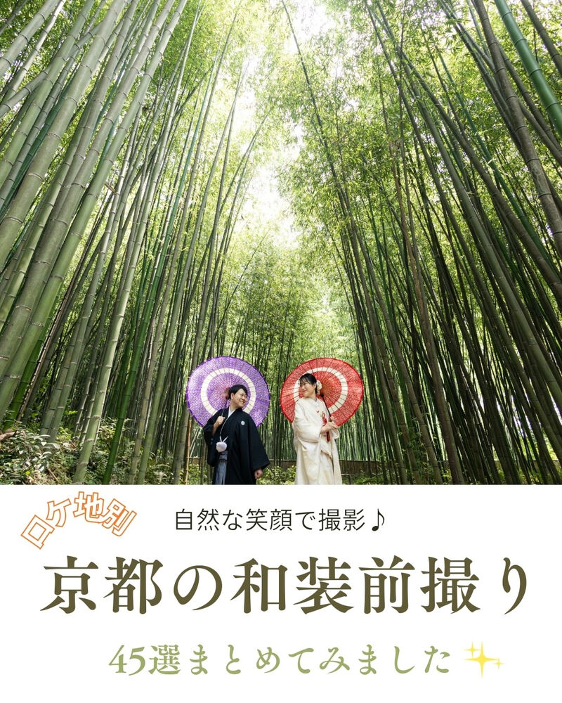 画像6678