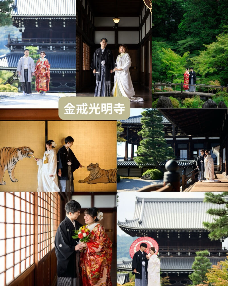 画像6684