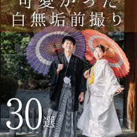画像6942