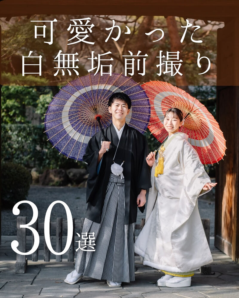 画像6942