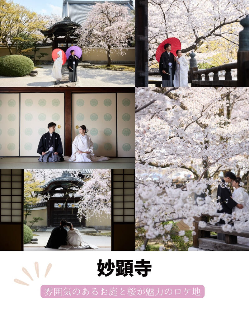 画像7087