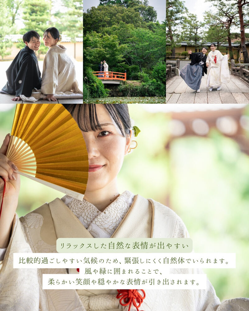 画像7184