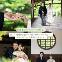 画像7186