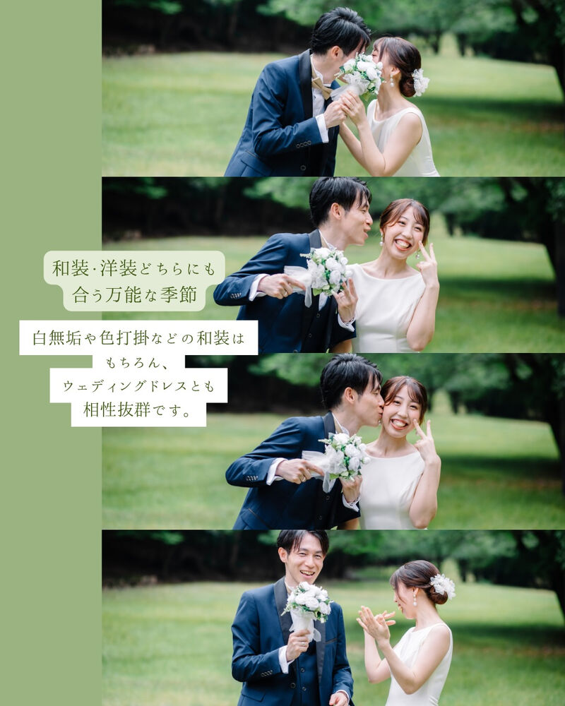 画像7190