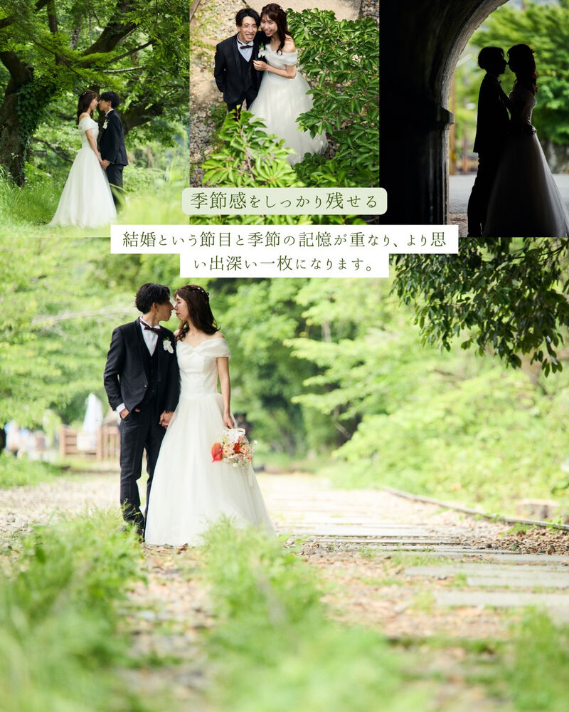 画像7191