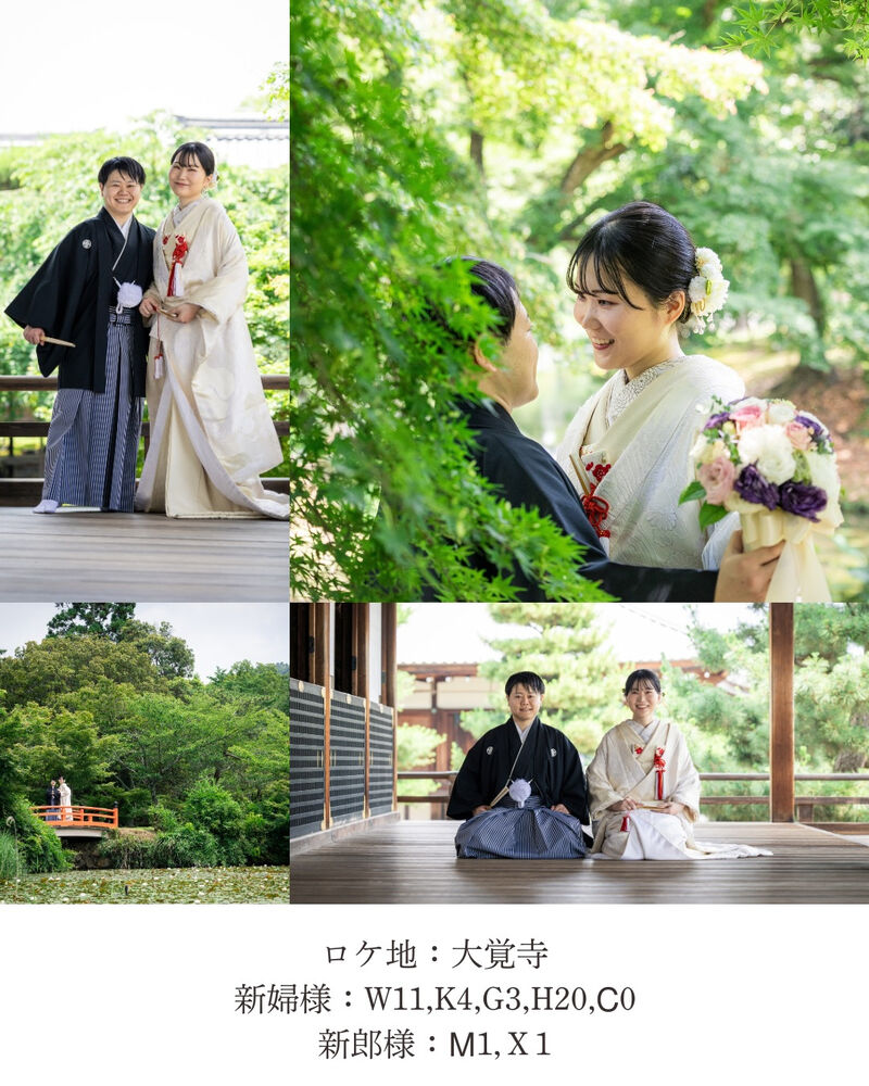 画像7239