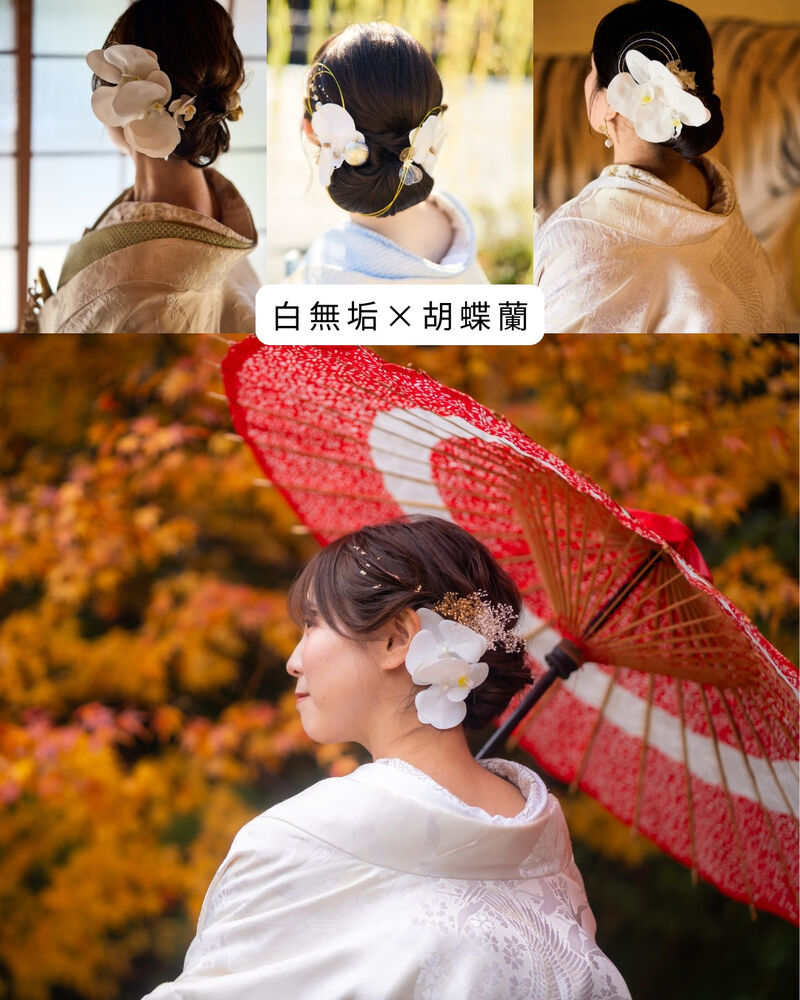 画像7481