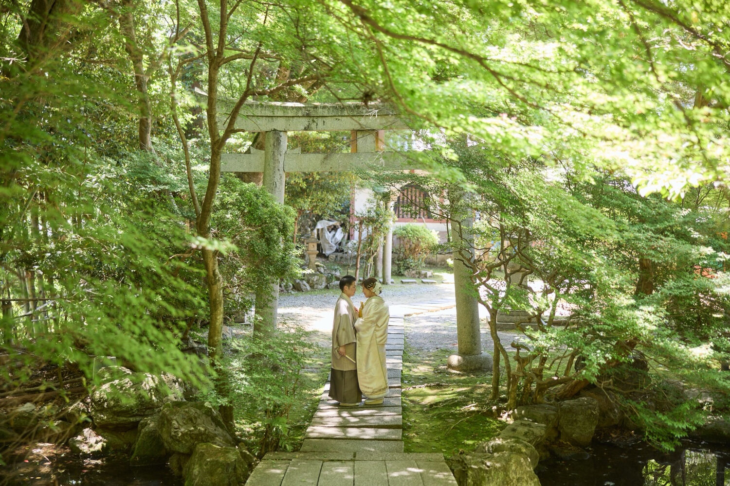 画像7601