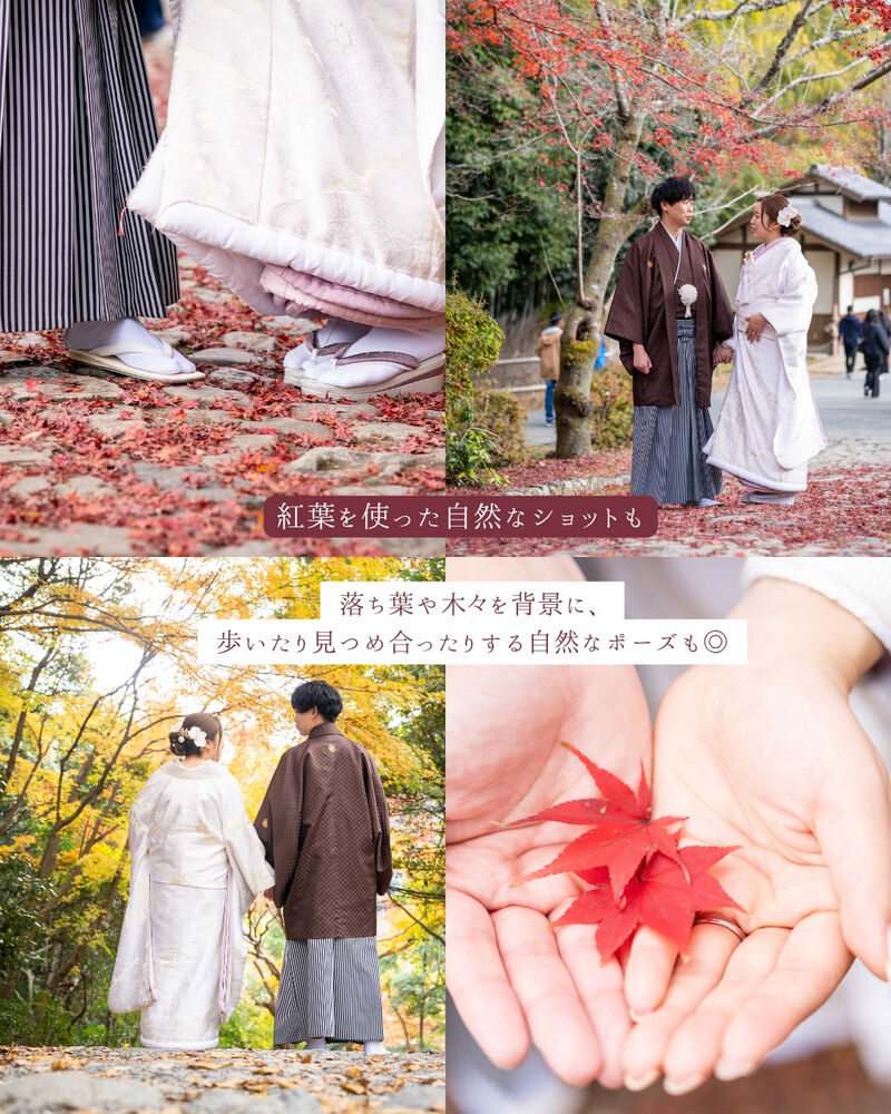 画像7674